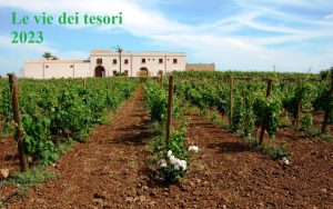 Leviedeitesori Vigneto