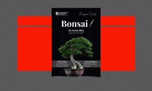 Bonsai, l'evento che saluta la primavera firmato Viagrande Studios, venerdì 22 marzo ore 20.00