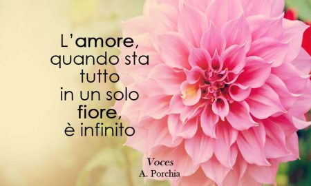 Fiore Aforisma
