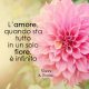Fiore Aforisma