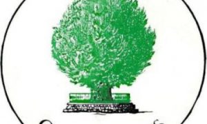 Associazione culturale Confluentes: logo associazione