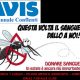 Raccolrta periodica del sangue Avis Luglio