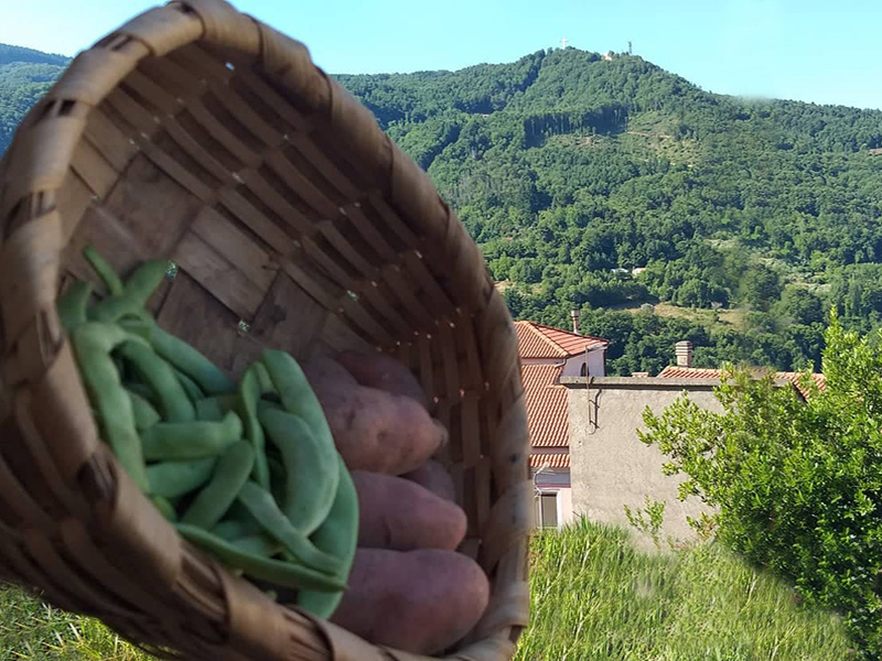 patata: Patate E Vajane