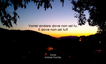 Vorrei Andare: un aforisma di Porchia