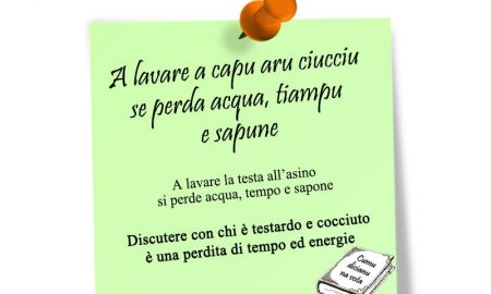 Ciucciu: post-it con proverbio