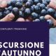 Escursione d'autunno: locandina
