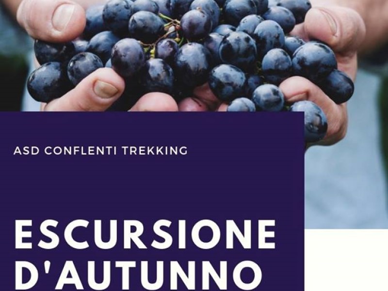 Escursione d'autunno: locandina