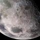 serata gastronomica e astronomica: Luna