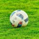 under 14: pallone su erbetta