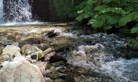 Fiume e la verde natura