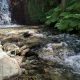 Rivière et nature verdoyante
