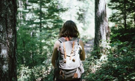 percorso: falerna e il mancuso Trekker