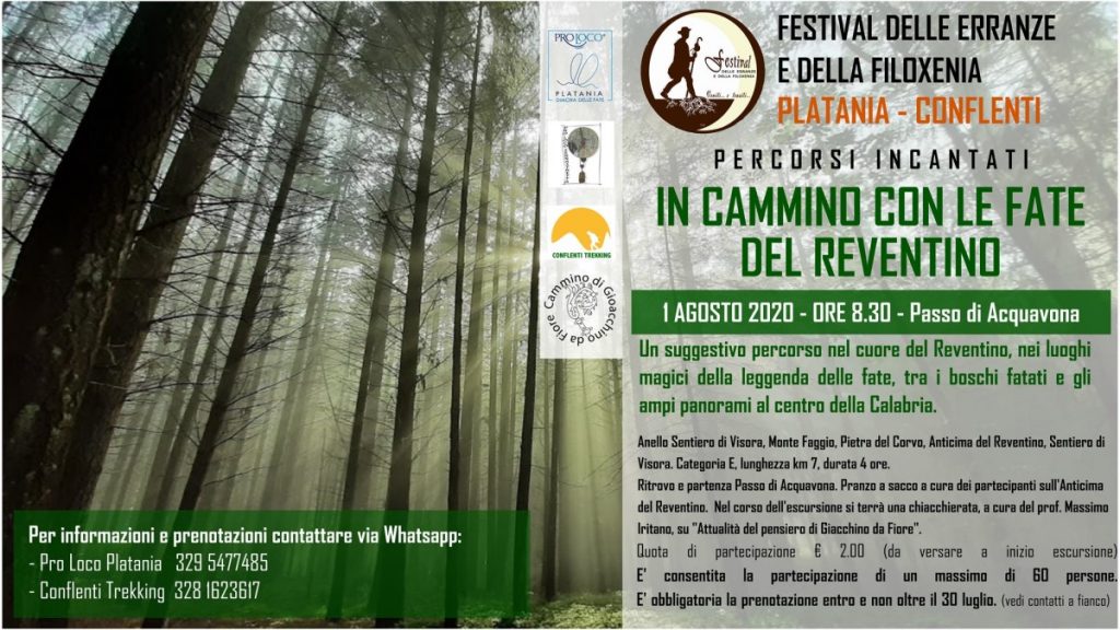 In Cammino: Locandina