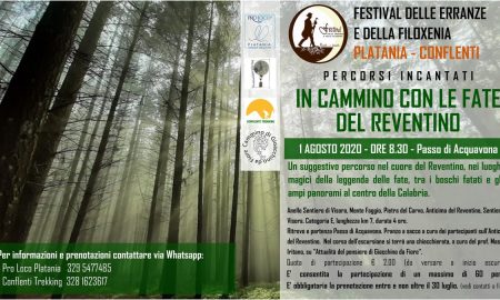 In Cammino: Locandina
