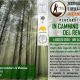 In Cammino: Locandina