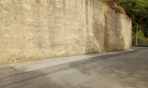 Progetto Murales Muro Conflenti