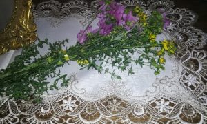Fiore Di San Giovanni