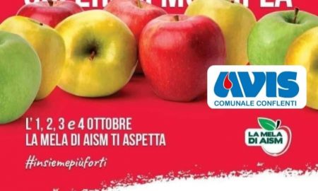 Aism Associazione Sclerosi Multipla