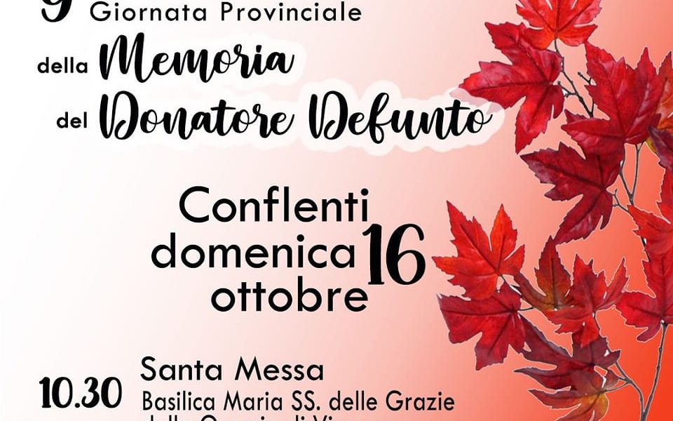 Avis Girnata Prov. Donatore