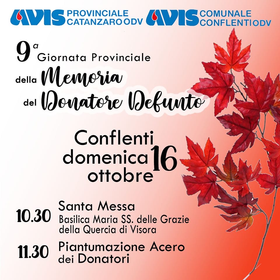 Avis Girnata Prov. Donatore