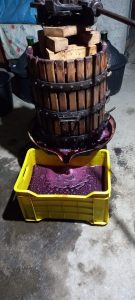 Vendemmia , Cuanzu Con Il Vino