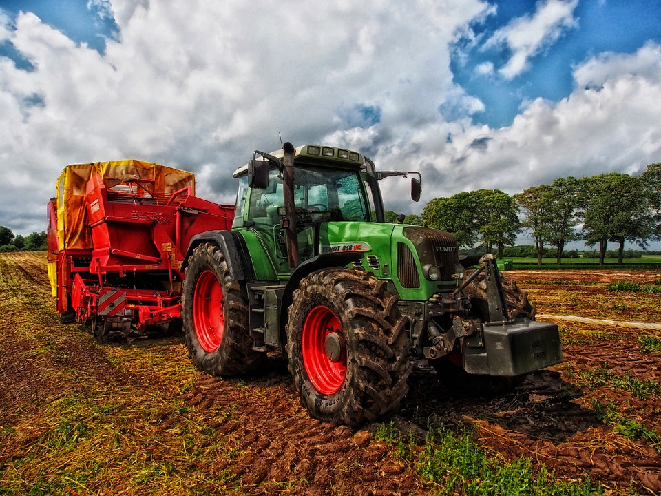 trattore nell' Azienda Agricola