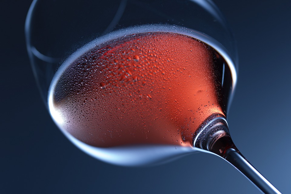 i vini del Polesine - Calice di vino