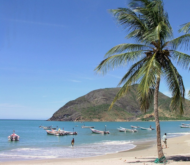 Veneti in Venezuela - spiaggia e palme in Venezuela