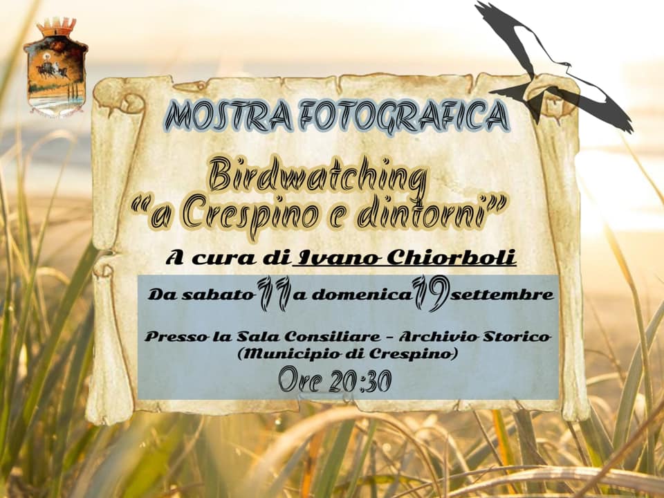 Birdwatching - locandina della Mostra Fotografica A Crespino