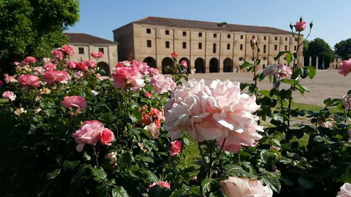 Pettorazza Grimani - Casale con le rose