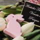 Antiche tradizioni venete di Pasqua - coniglietto rosa