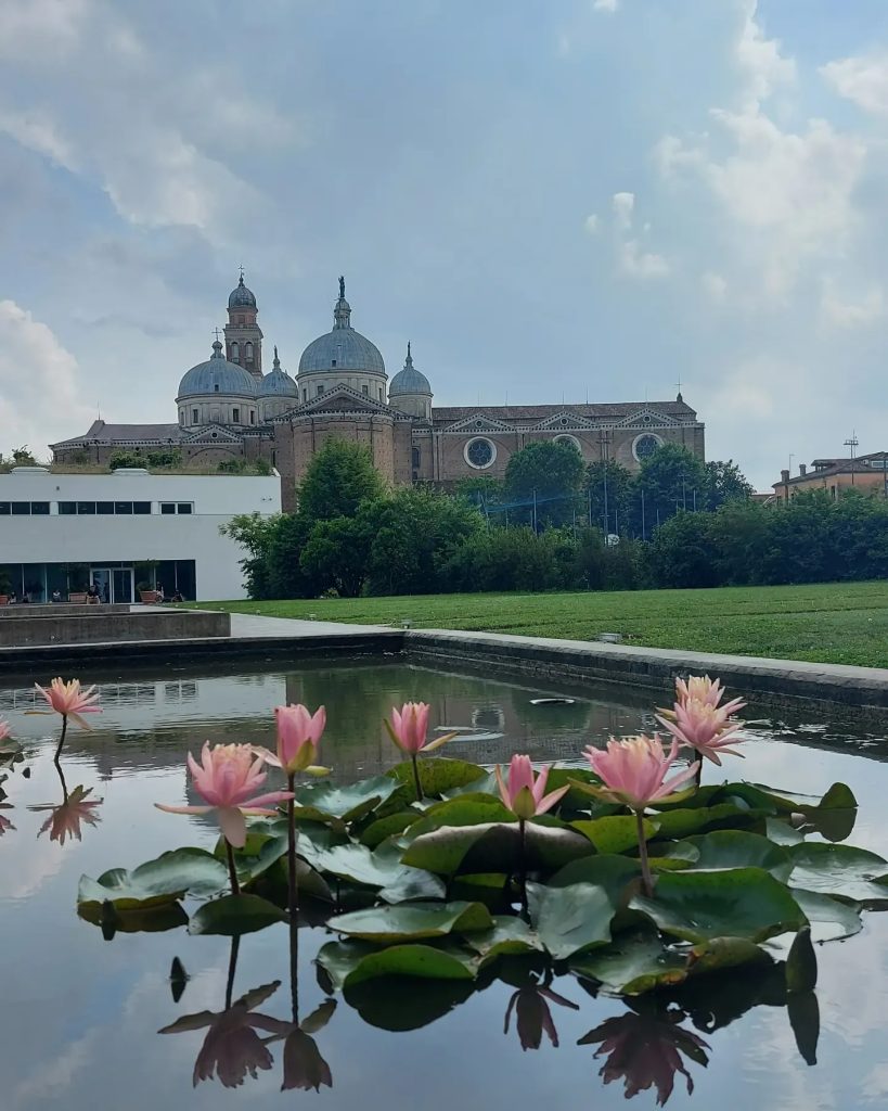 Orto Botanico di Padova - Scorcio