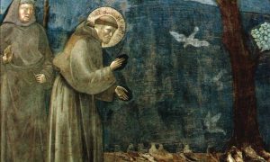 San Francesco Giotto