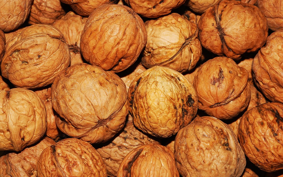 Noci Da Sgusciare