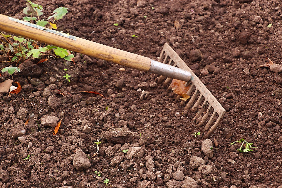 16 ottobre Agricoltura
