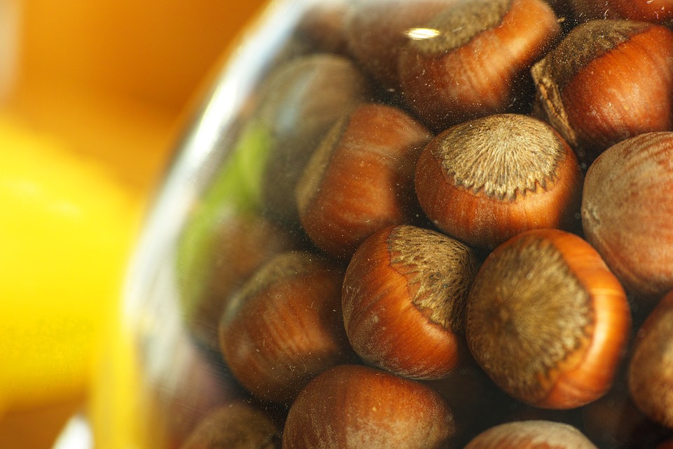 Nocciole