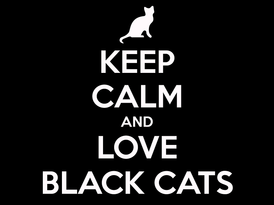 Love Black Cats