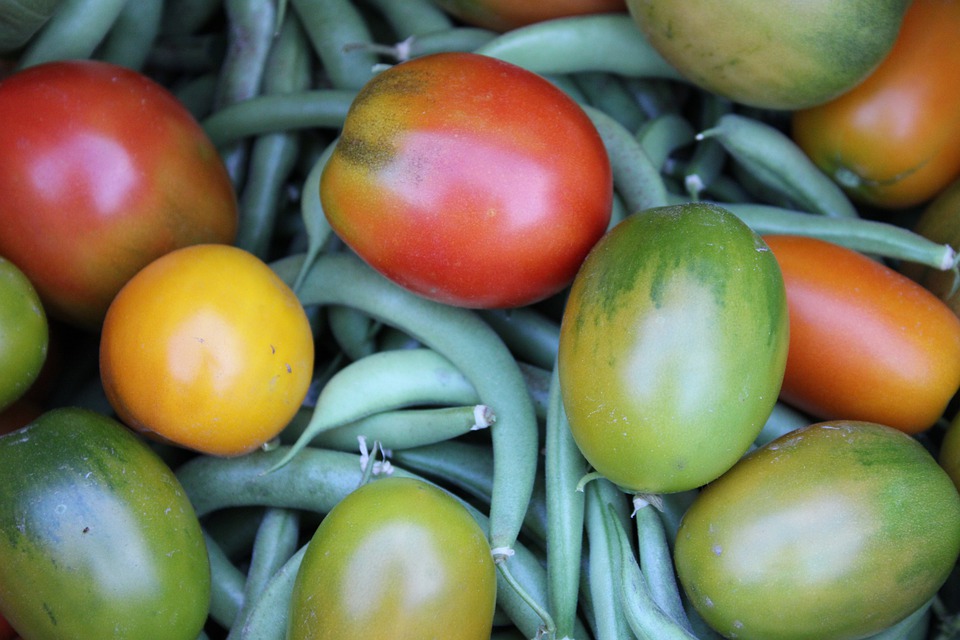 Insalata Estiva Pomodori Fagiolini