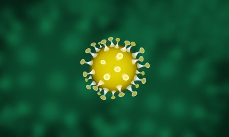Zona Gialla Coronavirus
