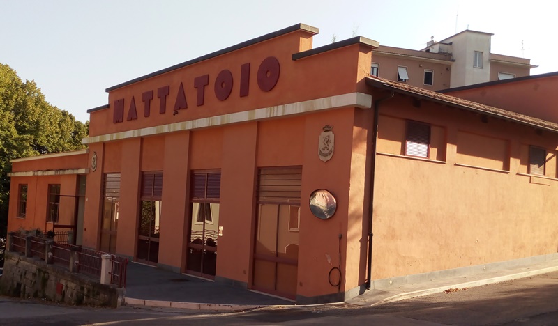 Programma Del Carnevale Frusinate - casa della cultura