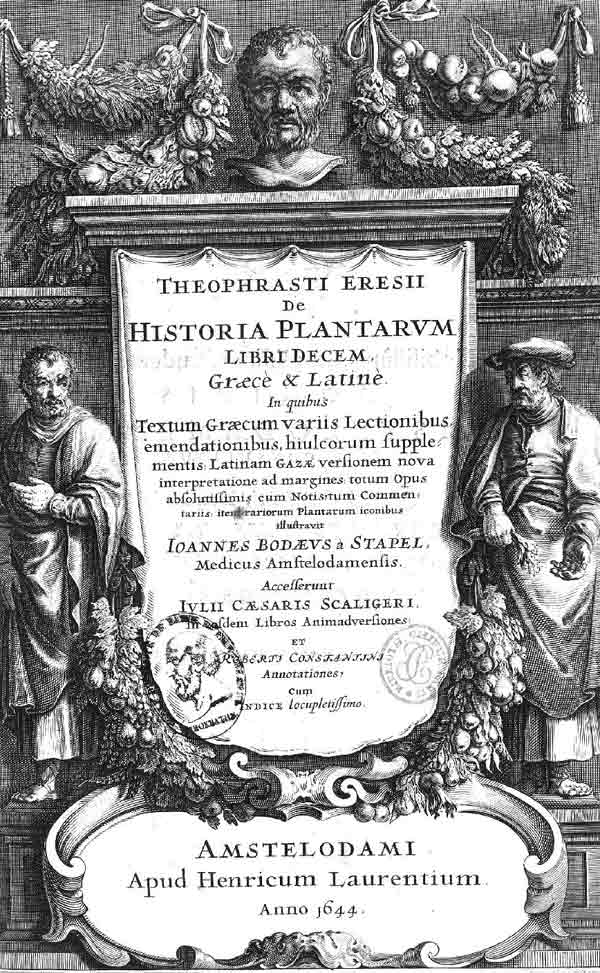 Asparagi selvatici - libro scritto da Teofrasto