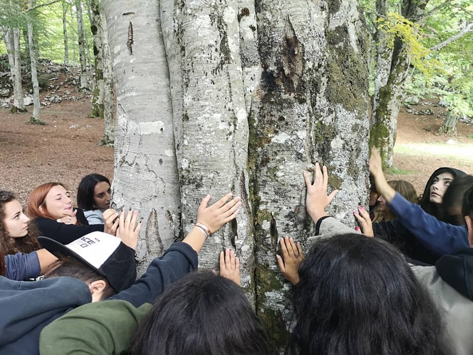 Damiano Tullio - Trekking attorno a un albero