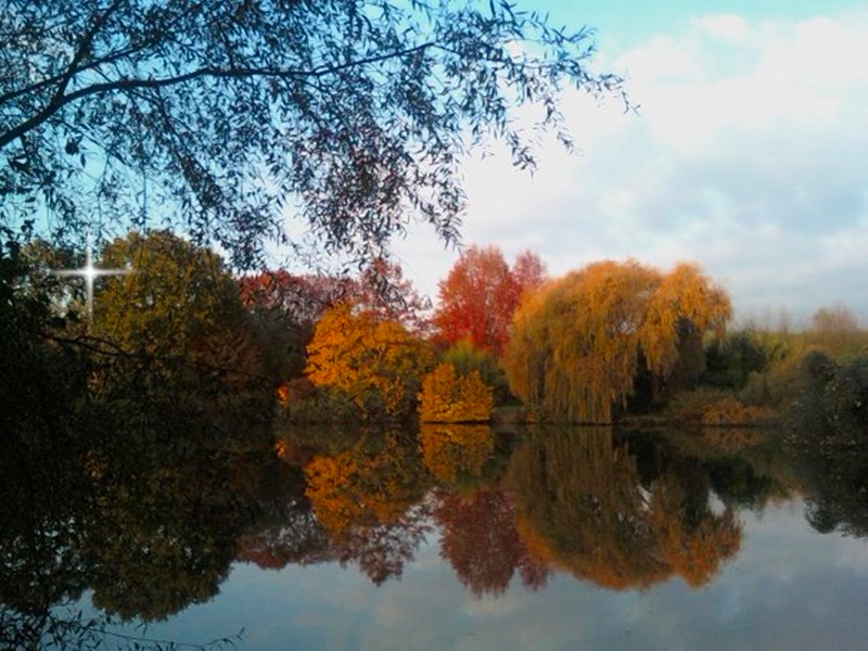 Bosco di Paliano - Paliano al tramonto