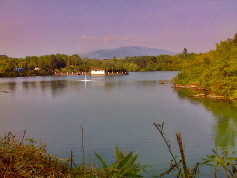 Bosco di Paliano - Bosco di Paliano con lago