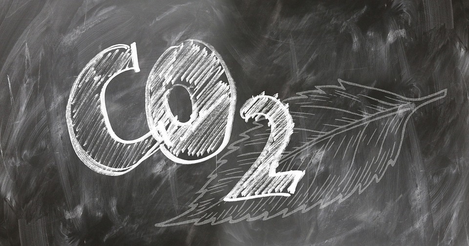 Alberi a Frosinone - rappresentazione di Co2
