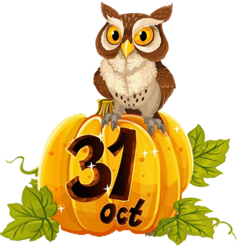 Halloween -  gufo della notte di Ognissanti