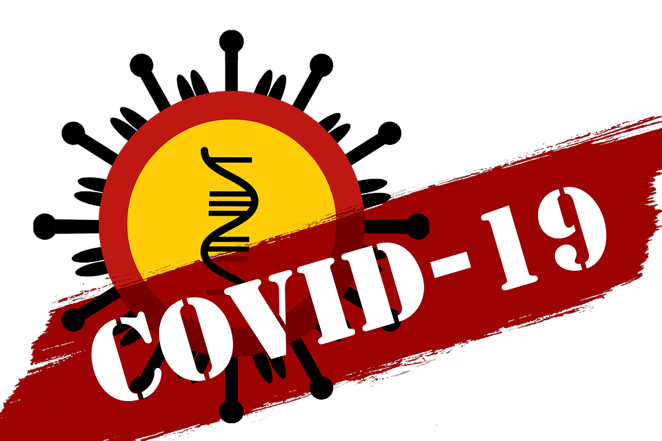 Cani anti #Covid-19 -  immagine di  Coronavirus