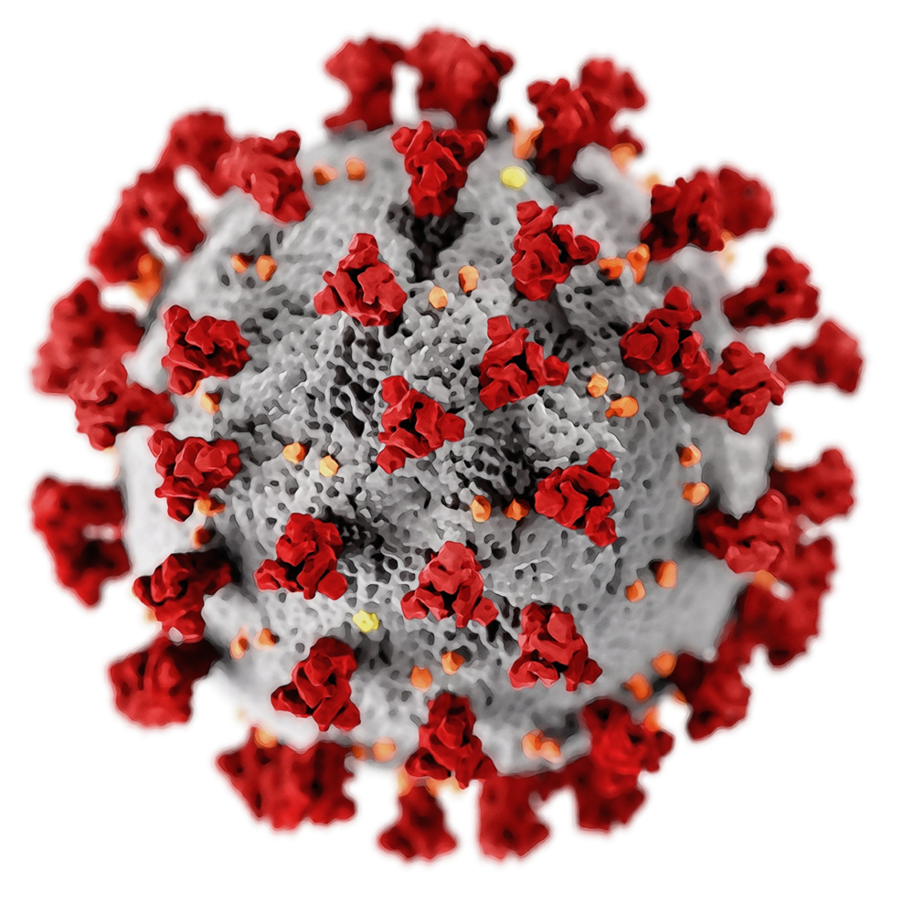 App anti #Covid-19 -  ricostruzione del virus