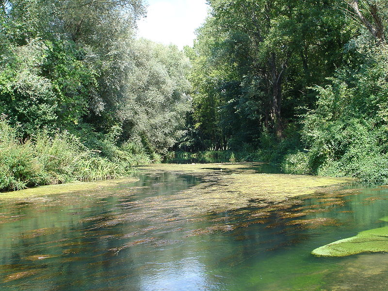 Il Fiume Fibreno - immagine del fiume