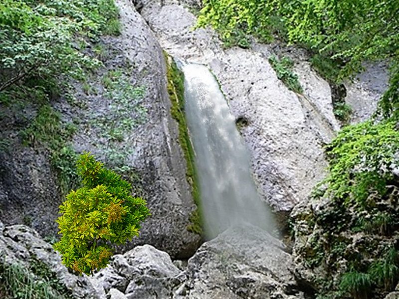 La cascata dello Schioppaturo - Cascata Dello Schioppaturo in piena